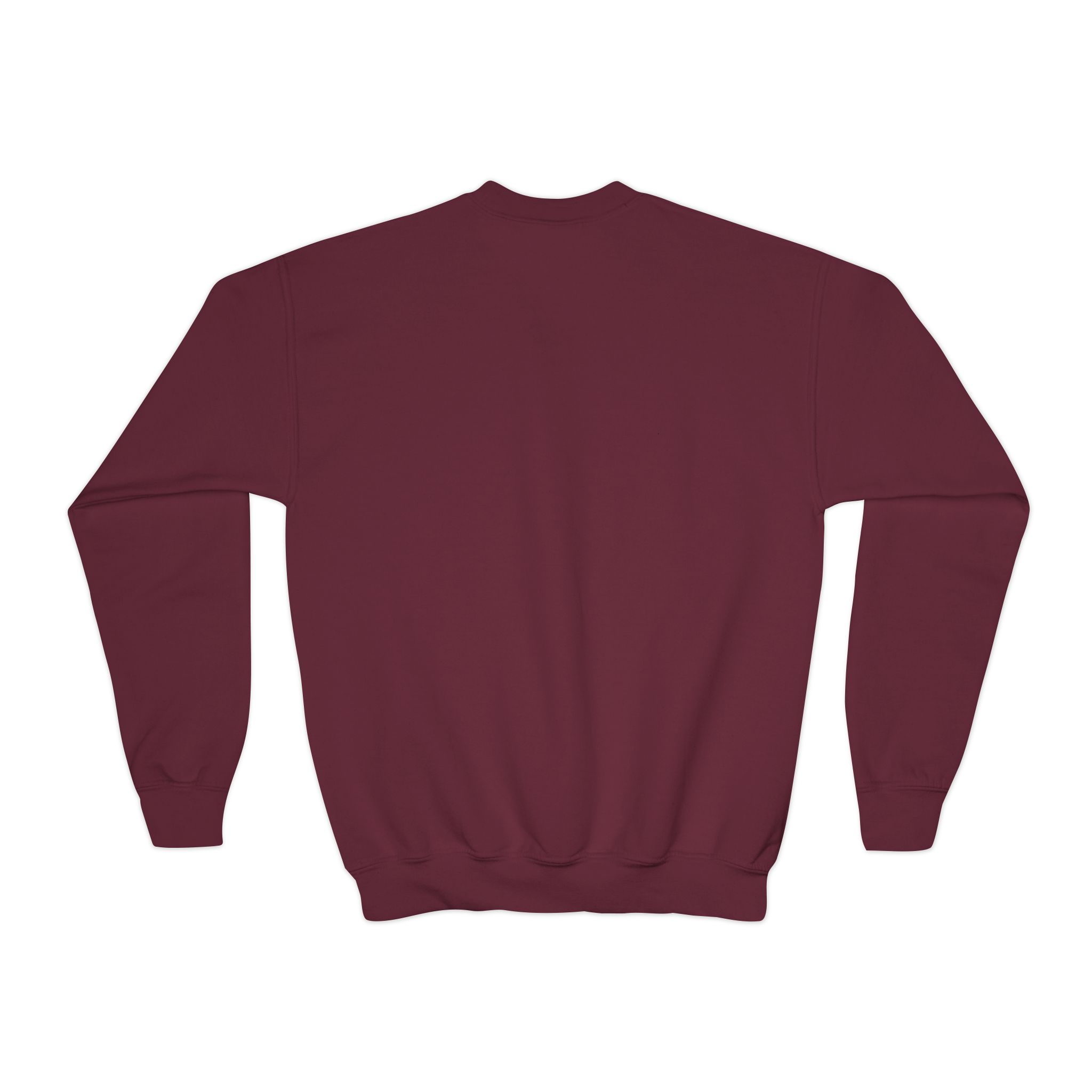 Youth Crewneck Sweatshirt — Ankylosaurus Adventure Gear Kids Pullover - Image 15