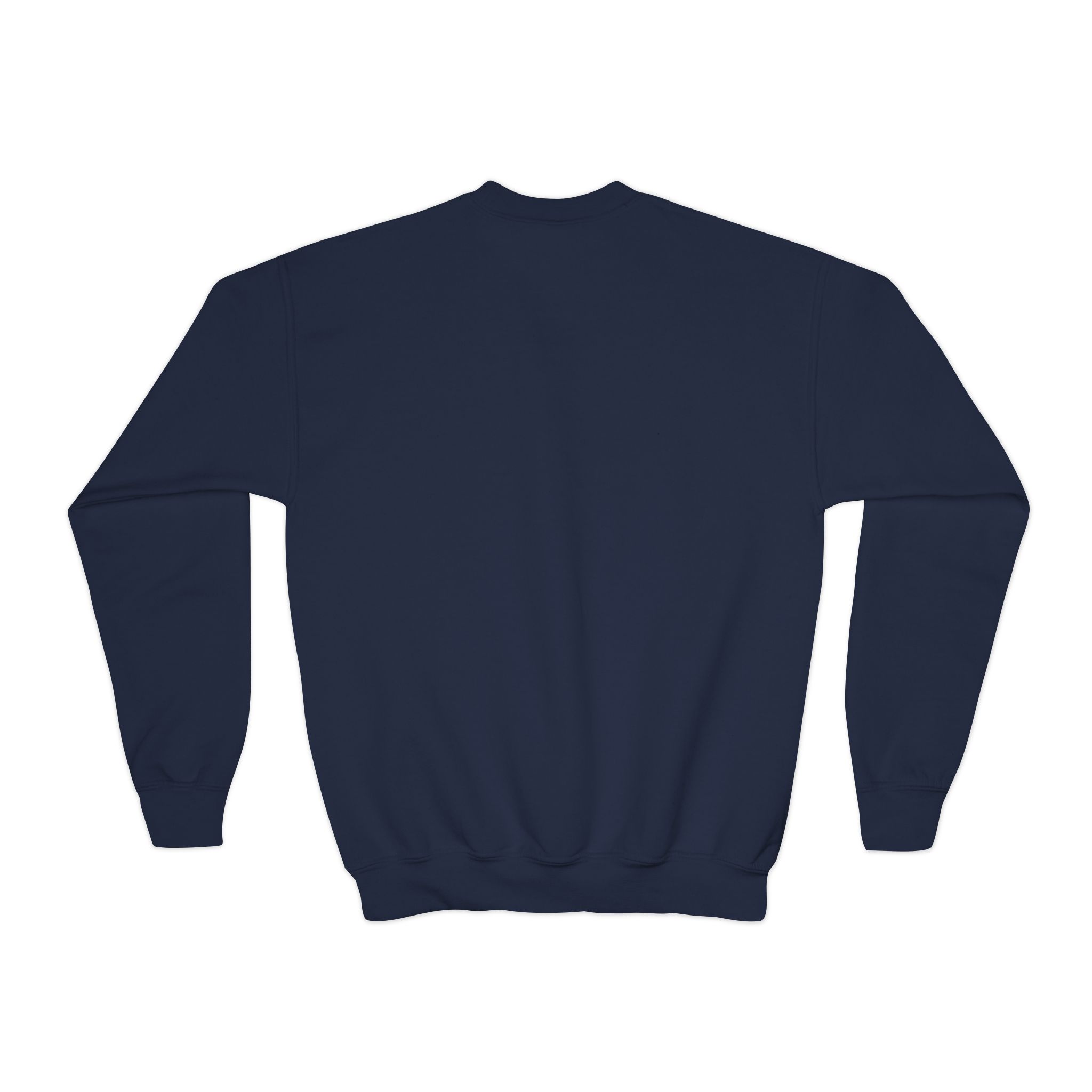 Youth Crewneck Sweatshirt — Ankylosaurus Adventure Gear Kids Pullover - Image 23
